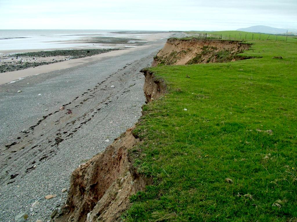 Click now to see this image full size.