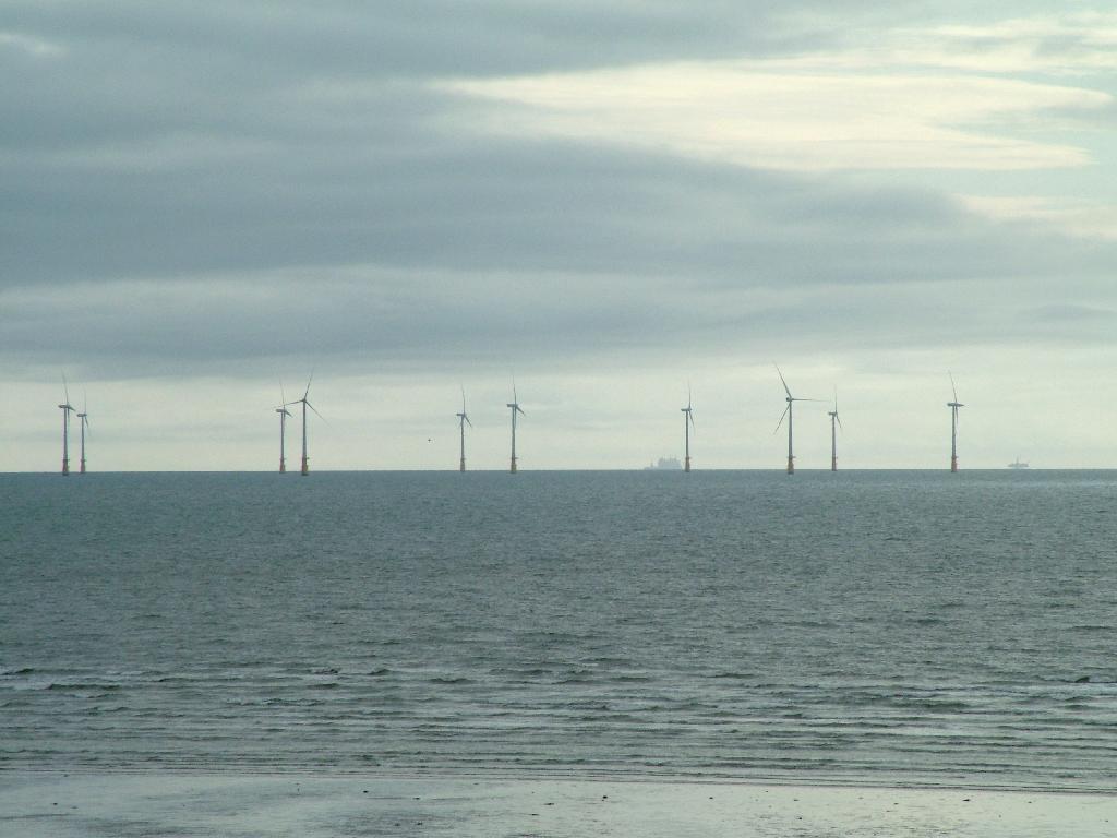 Click now to see this image full size.