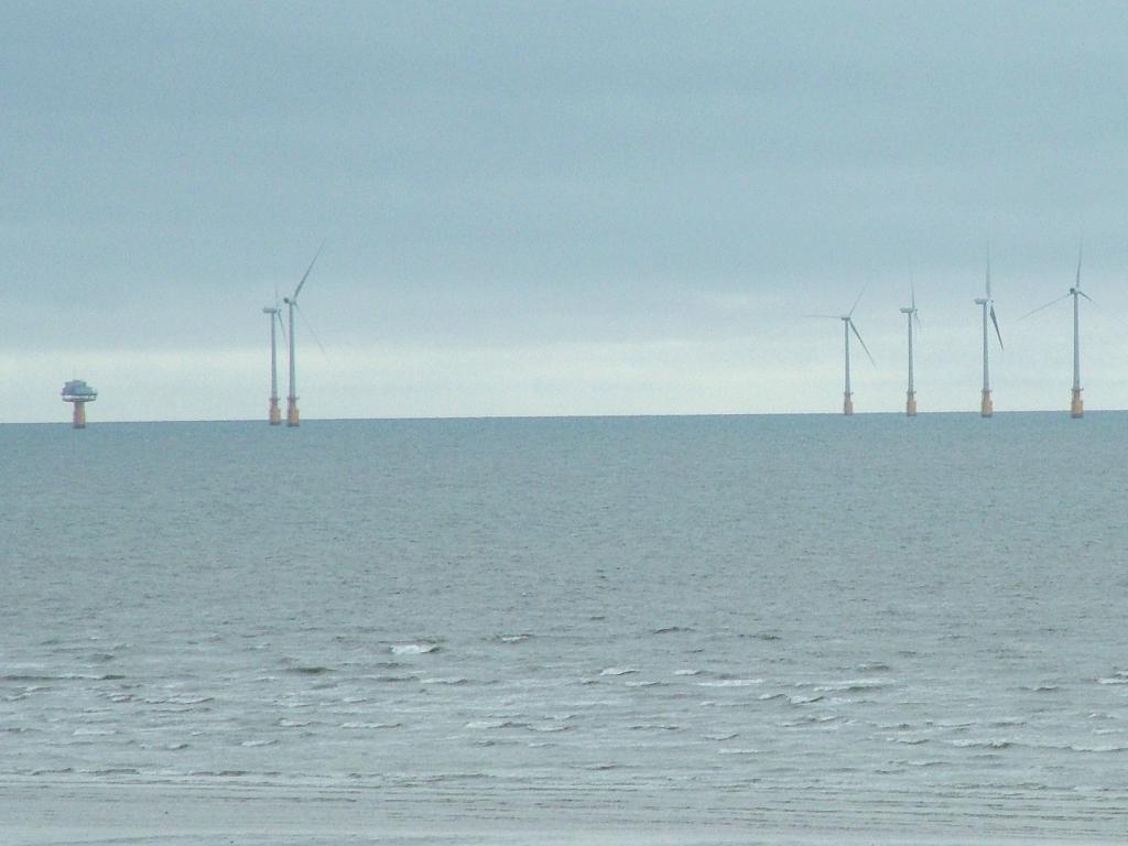 Click now to see this image full size.