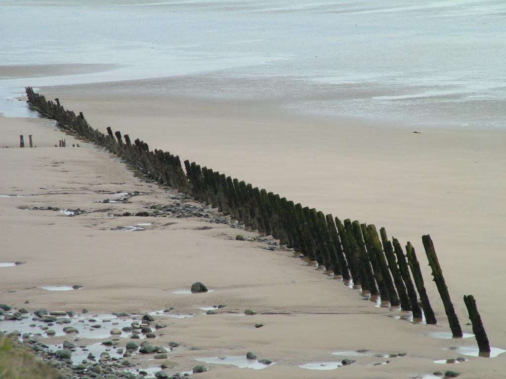 Click now to see this image full size.