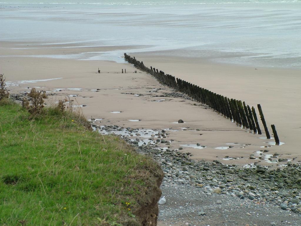 Click now to see this image full size.