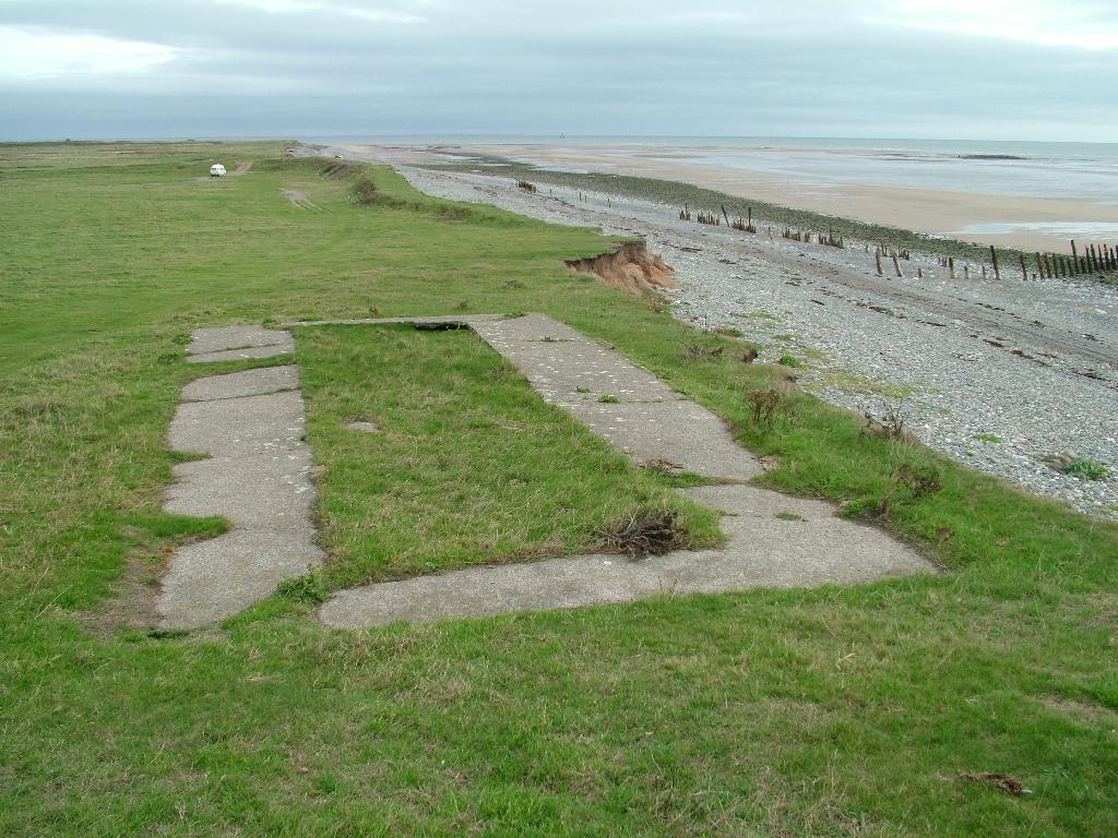 Click now to see this image full size.