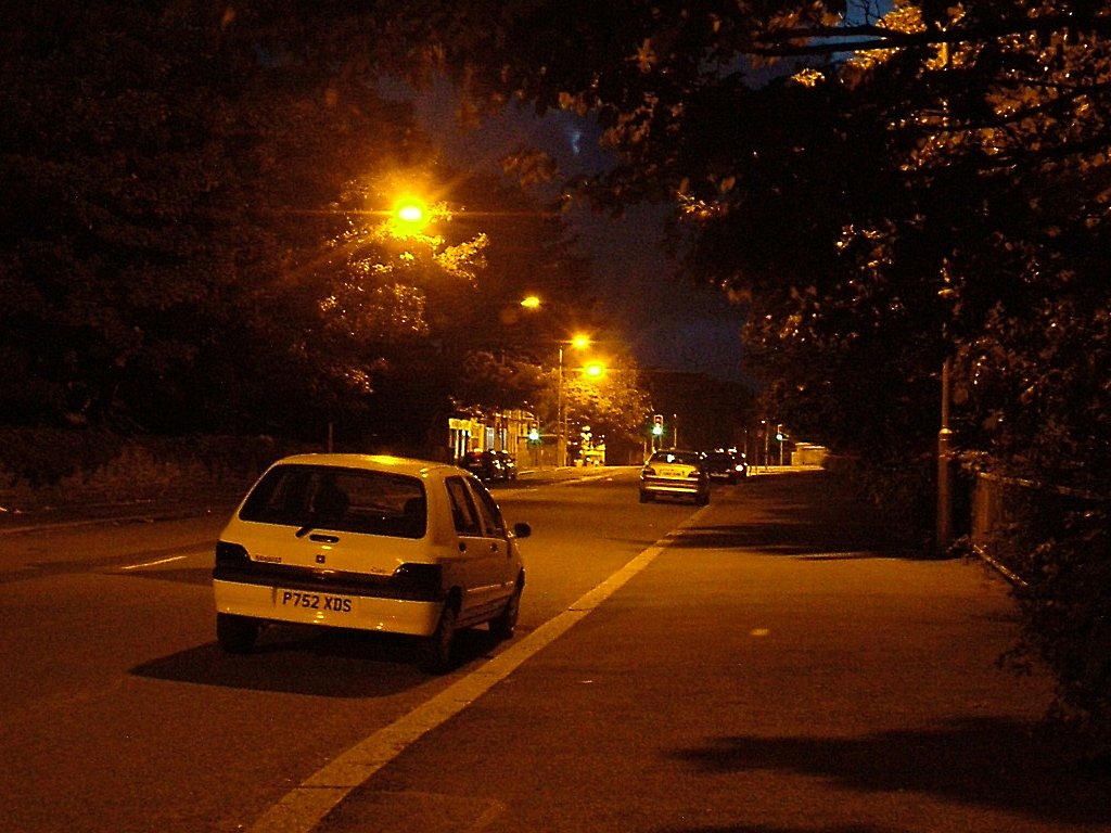 Click now to see this image full size.