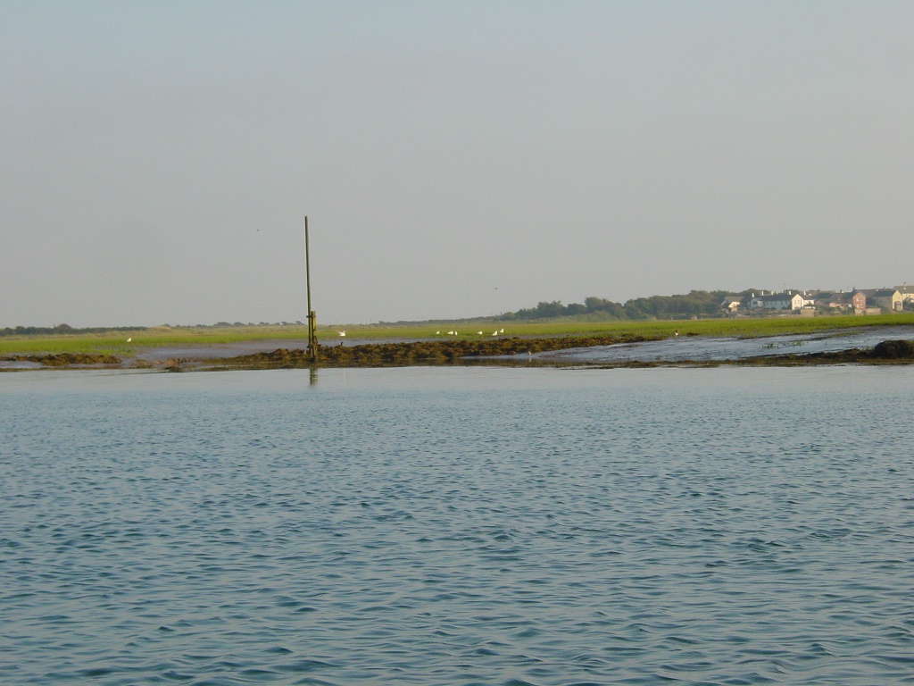 Click now to see this image full size.