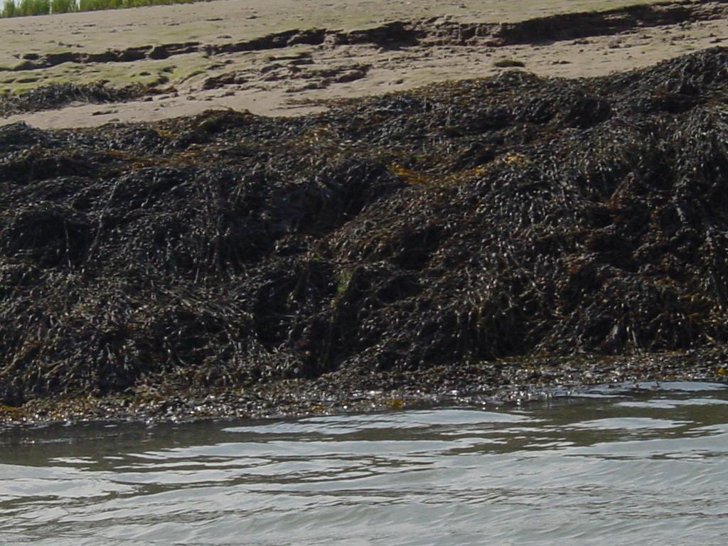 Click now to see this image full size.