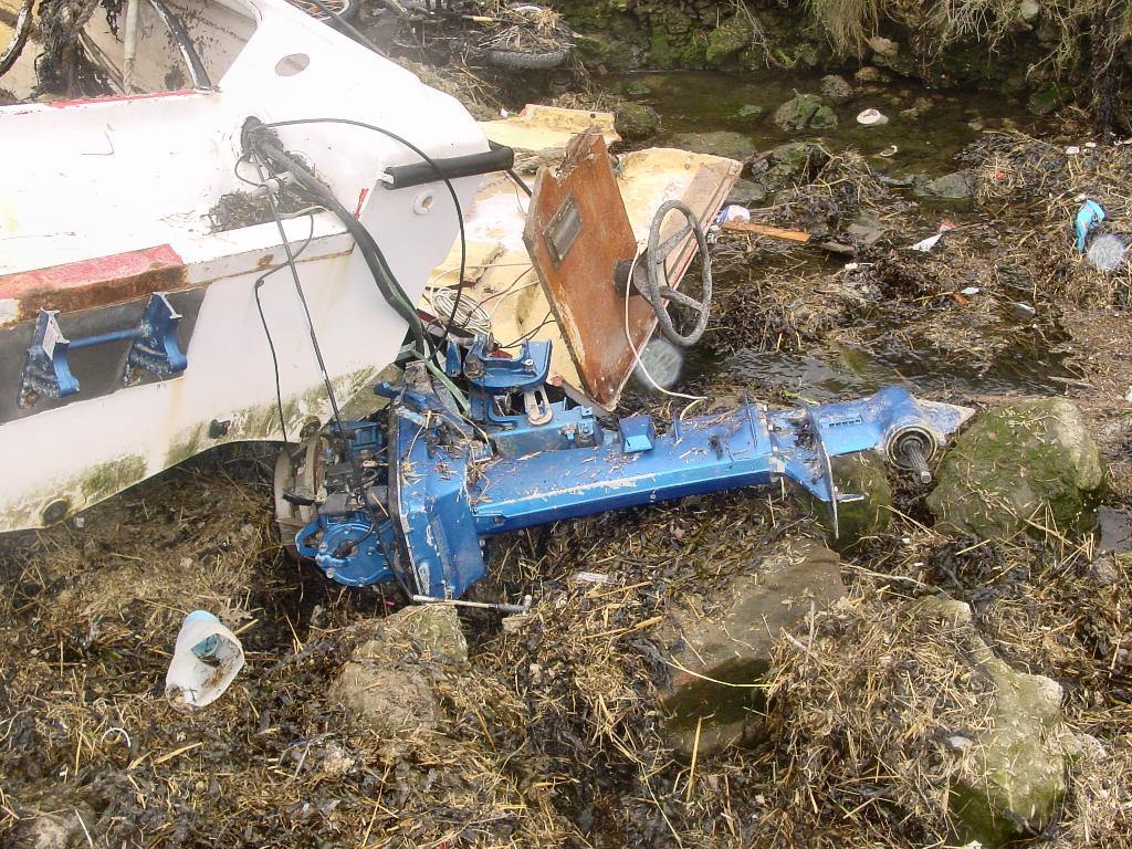 Click now to see this image full size.