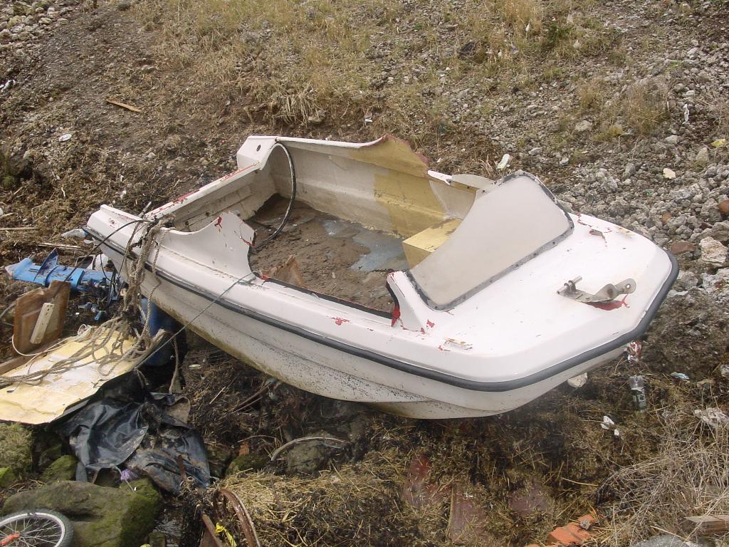 Click now to see this image full size.