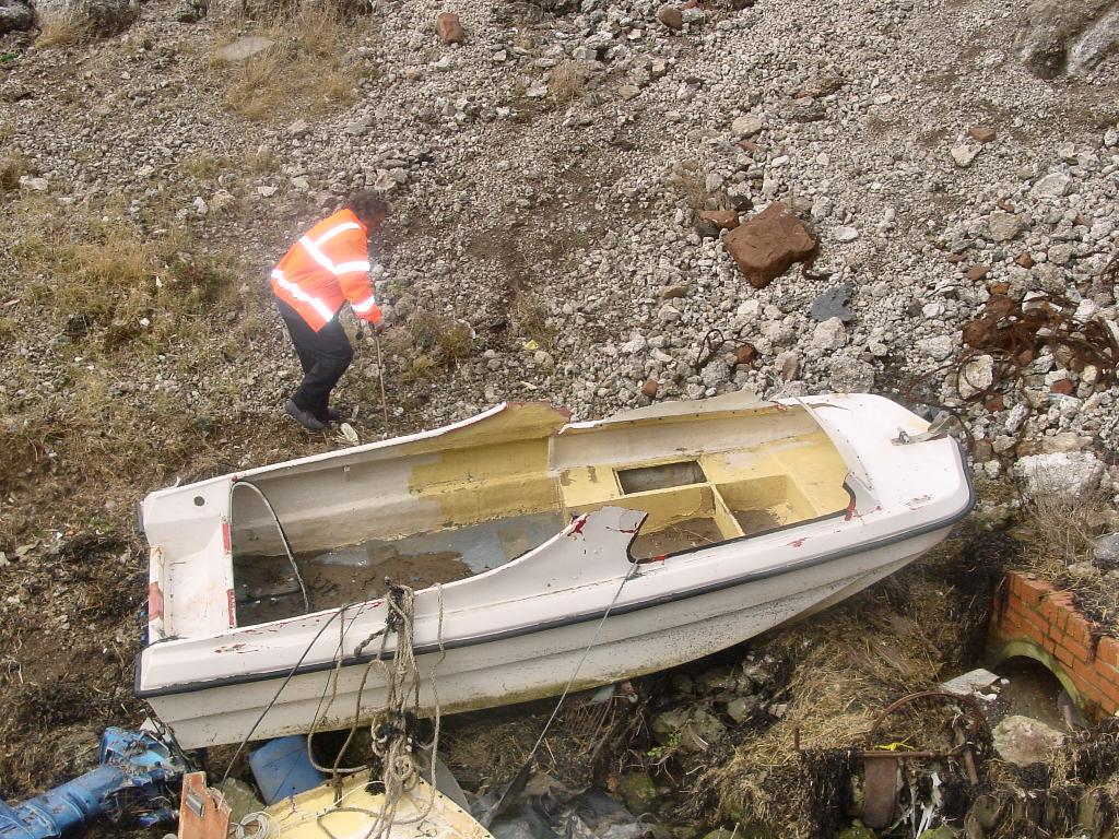 Click now to see this image full size.