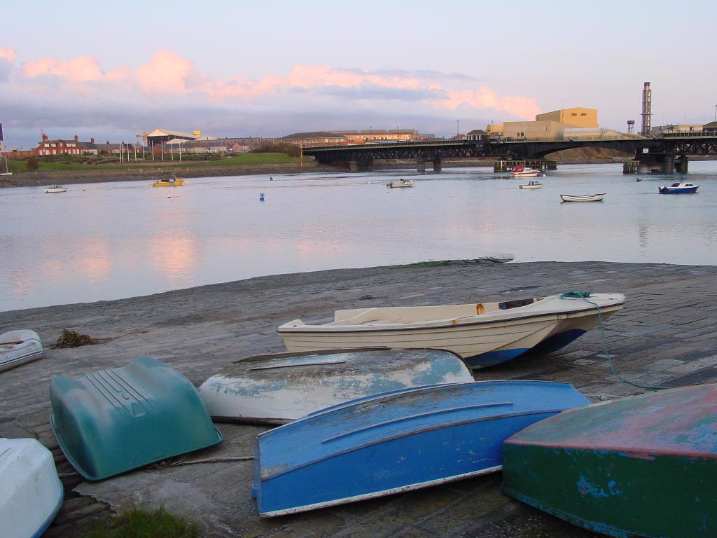 Click now to see this image full size.