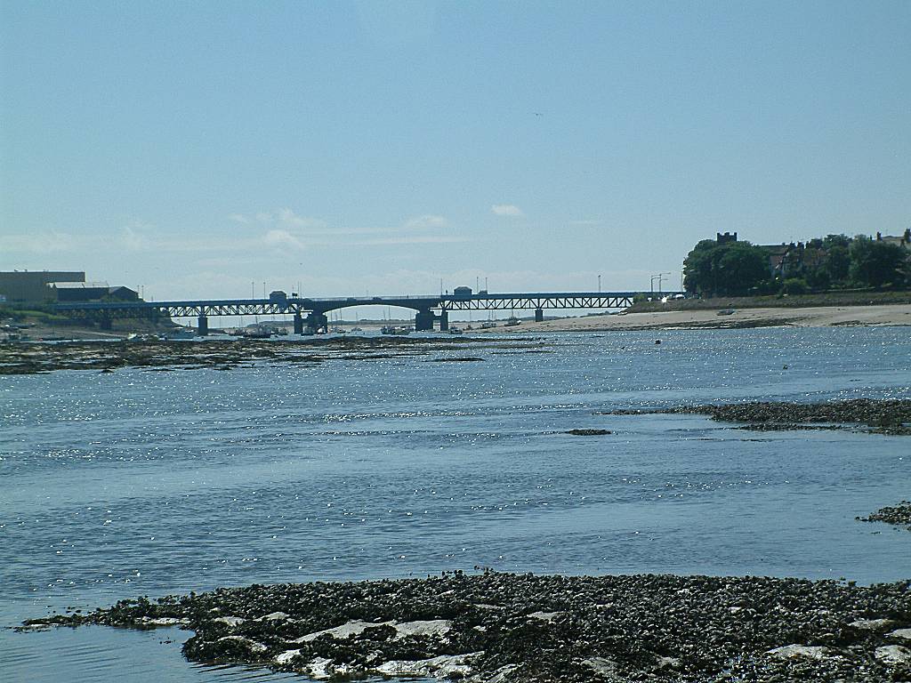 Click now to see this image full size.