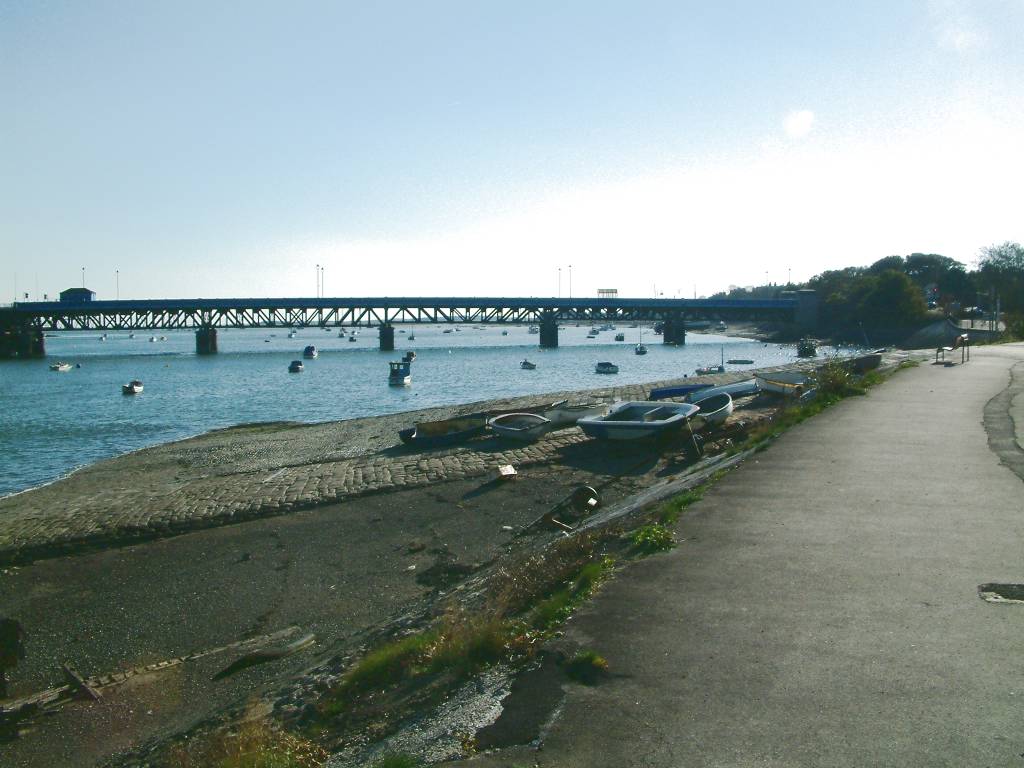 Click now to see this image full size.