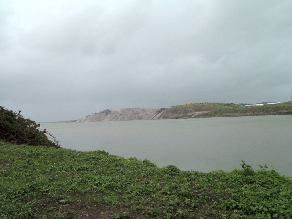 Click now to see this image full size.