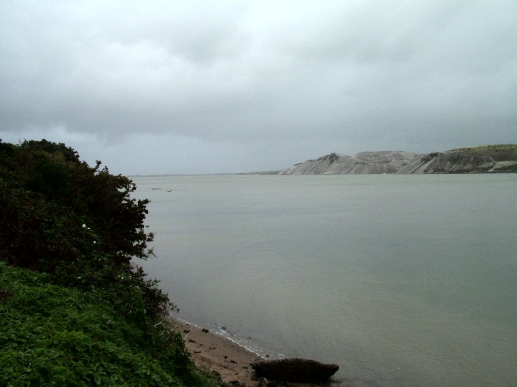 Click now to see this image full size.