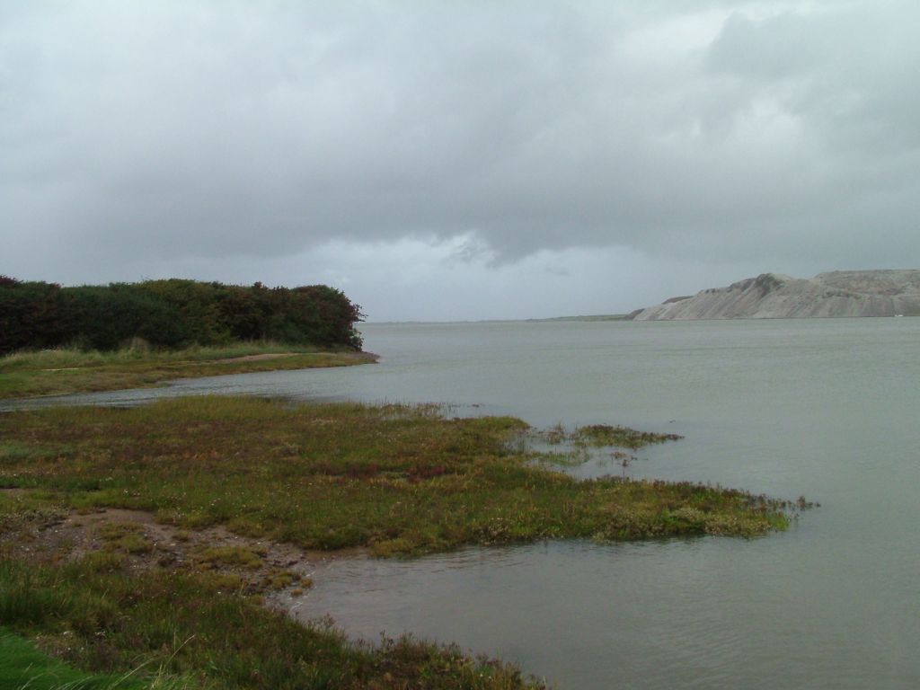 Click now to see this image full size.