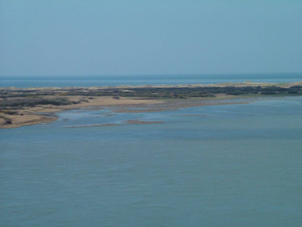 Click now to see this image full size.