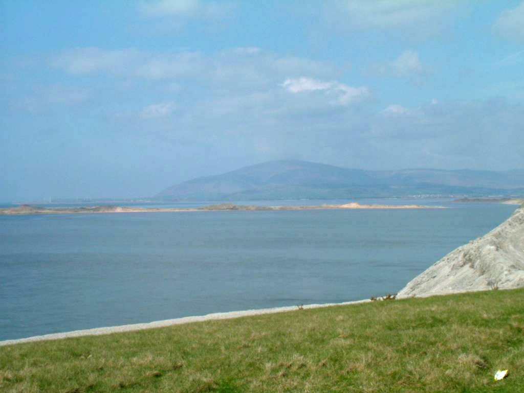 Click now to see this image full size.