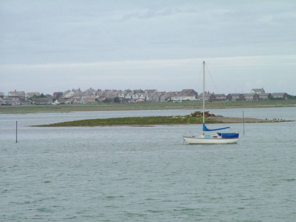 Click now to see this image full size.