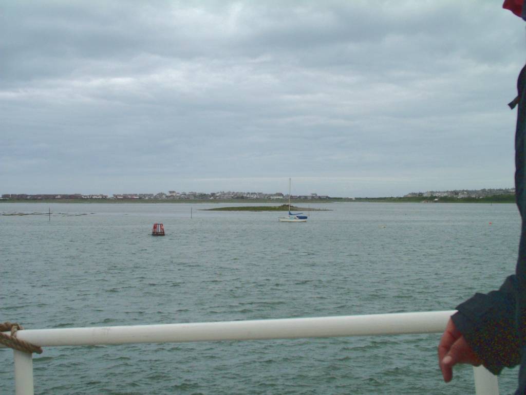 Click now to see this image full size.