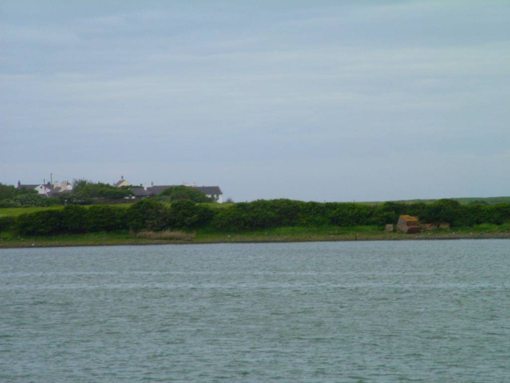 Click now to see this image full size.