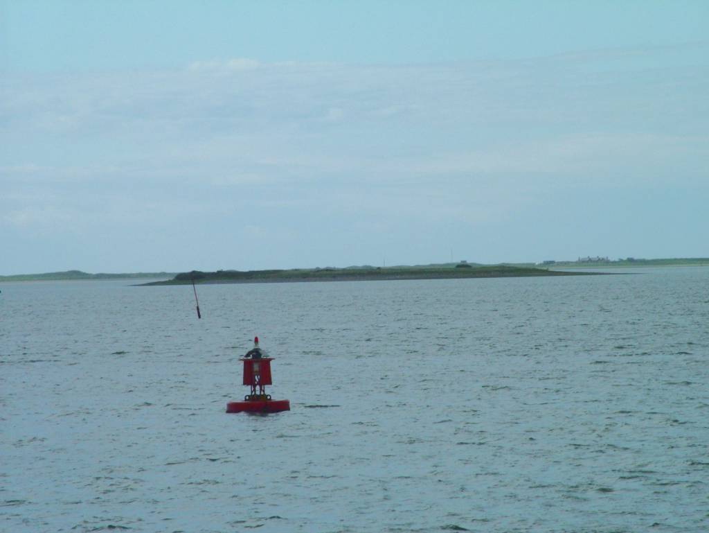 Click now to see this image full size.