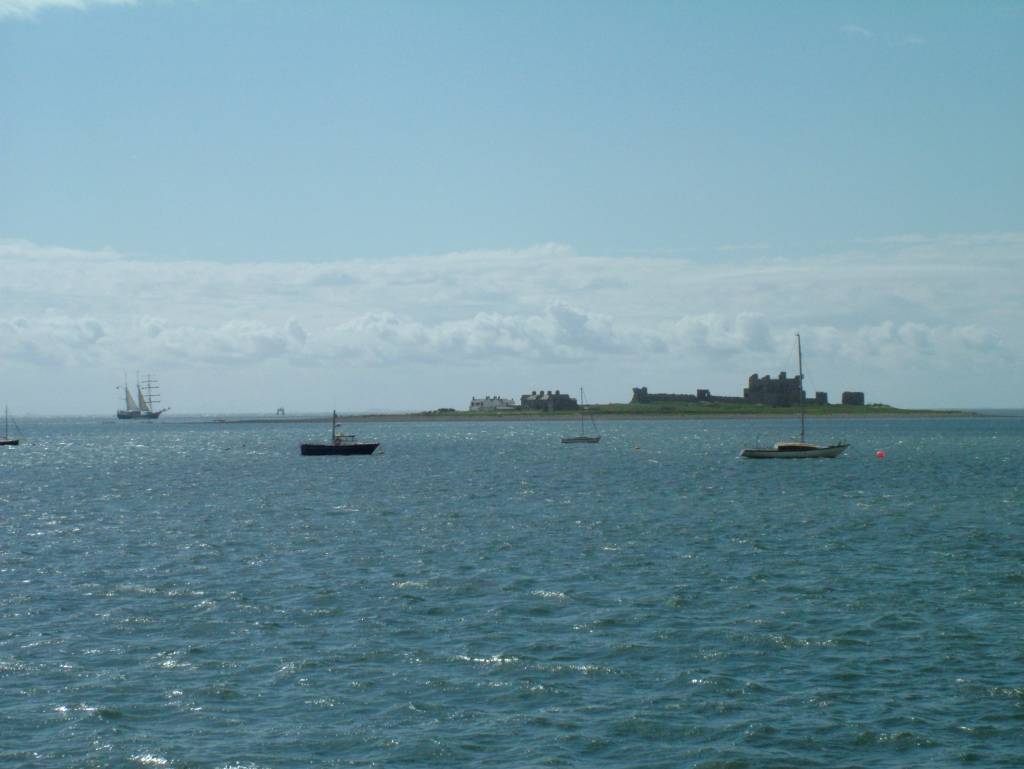 Click now to see this image full size.