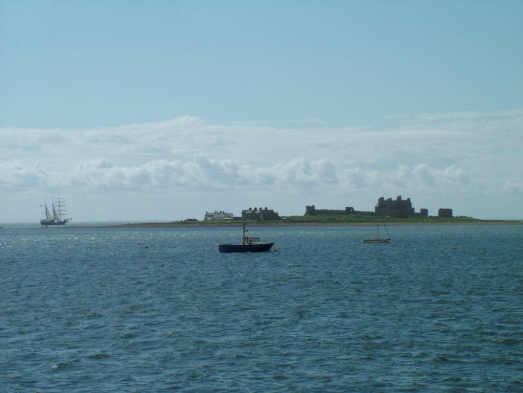 Click now to see this image full size.