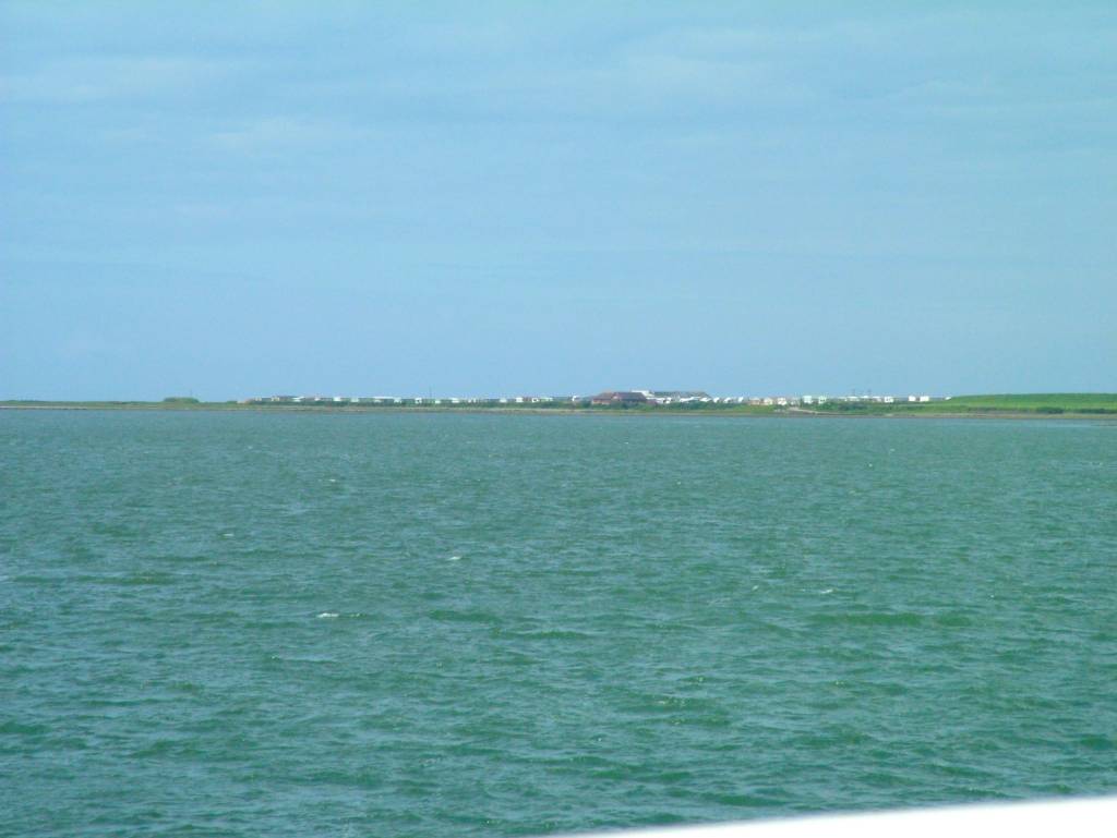 Click now to see this image full size.