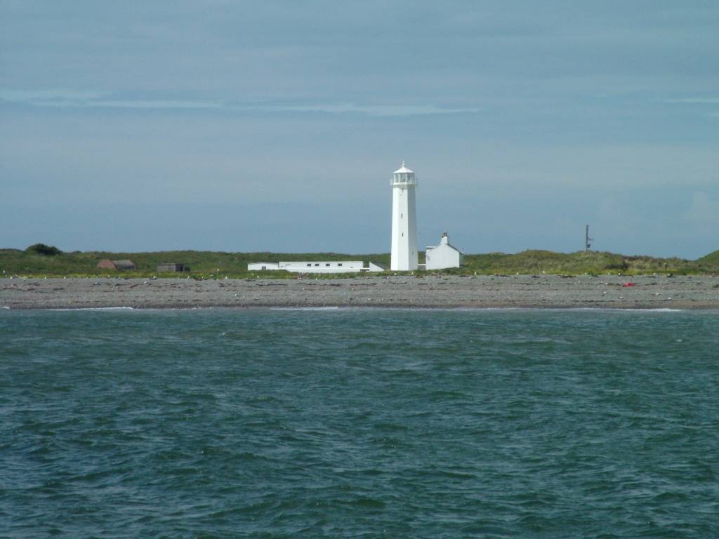 Click now to see this image full size.