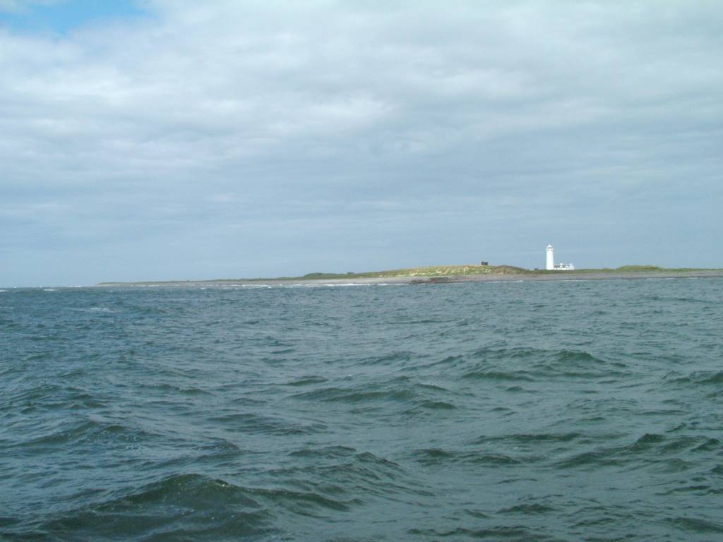 Click now to see this image full size.