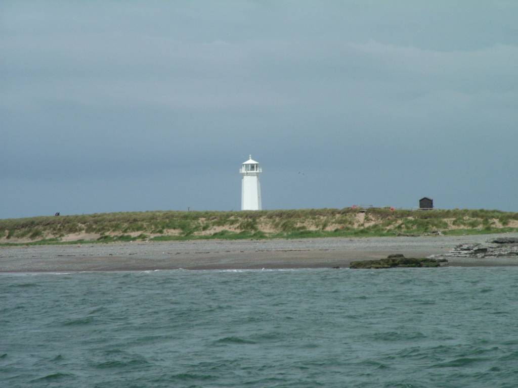 Click now to see this image full size.