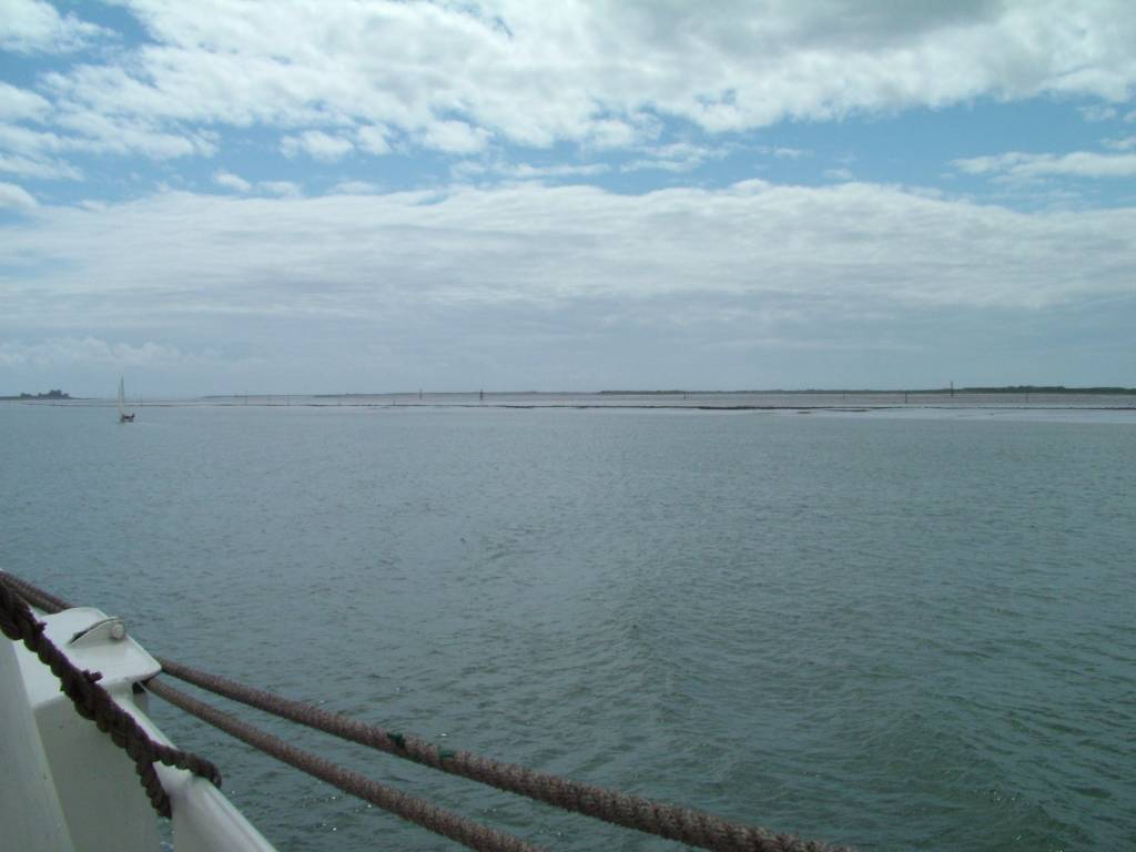 Click now to see this image full size.