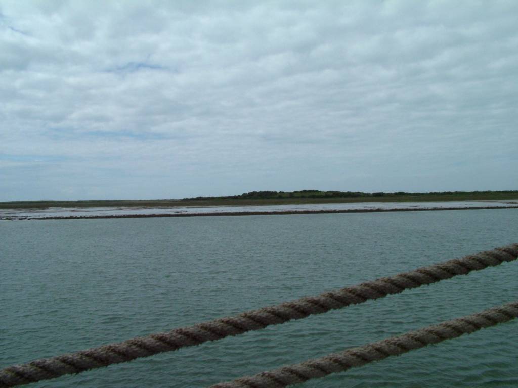 Click now to see this image full size.