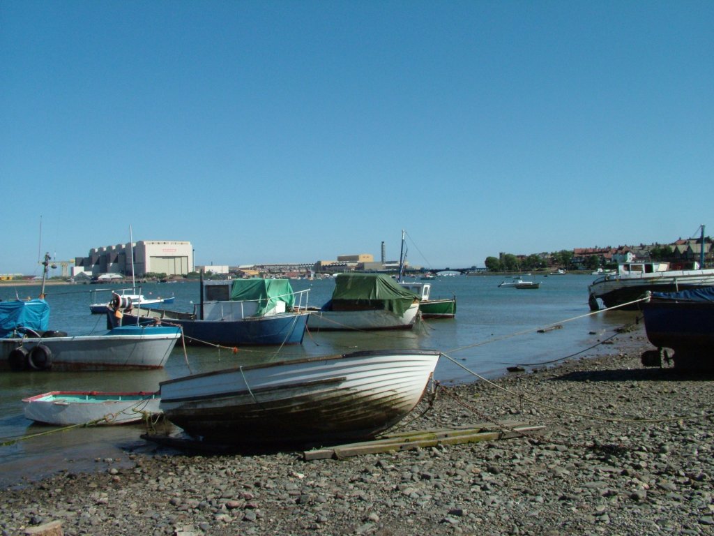 Click now to see this image full size.