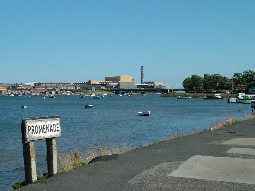 Click now to see this image full size.