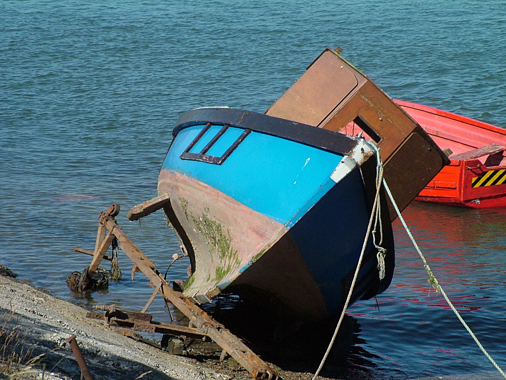 Click now to see this image full size.