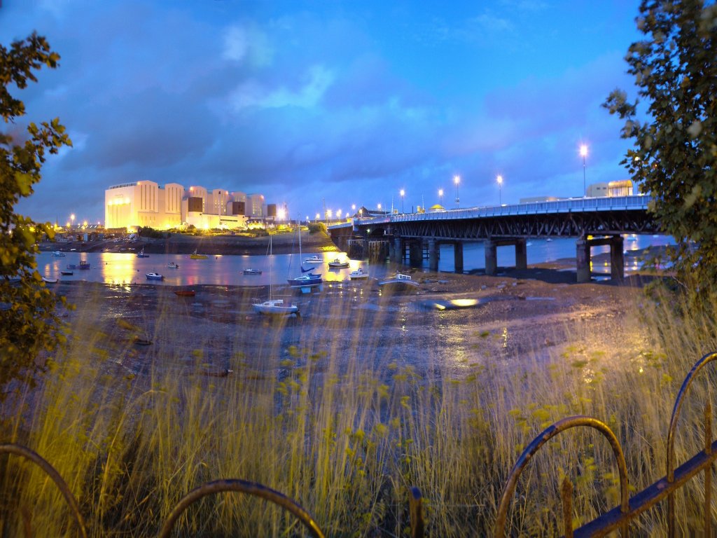 Click now to see this image full size.