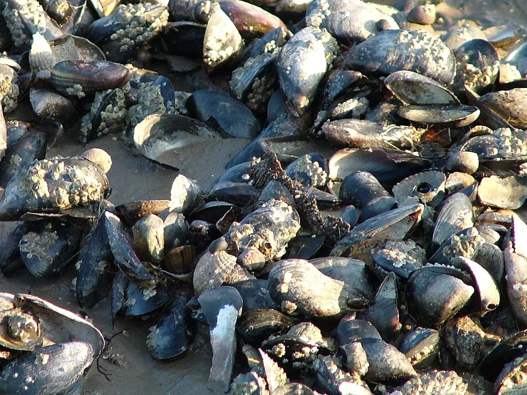 Click now to see this image full size.