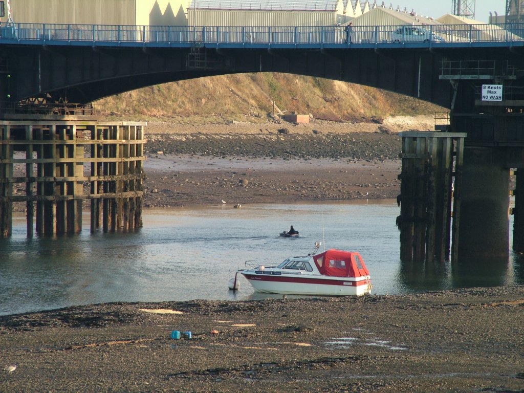 Click now to see this image full size.