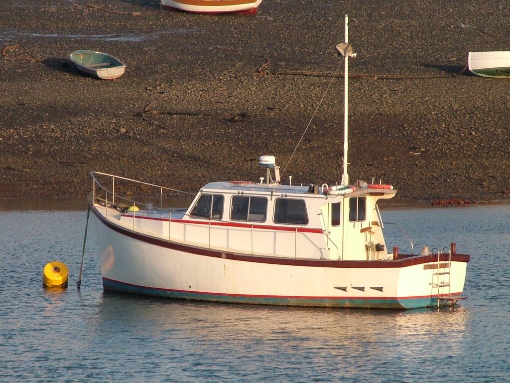 Click now to see this image full size.