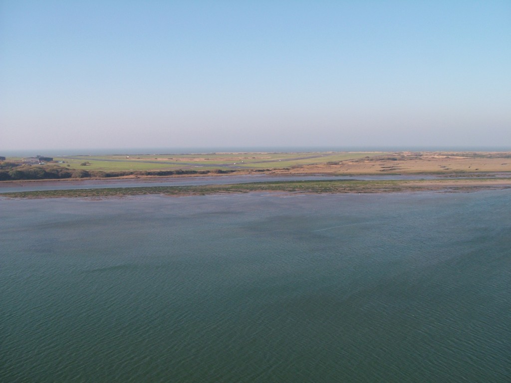 Click now to see this image full size.