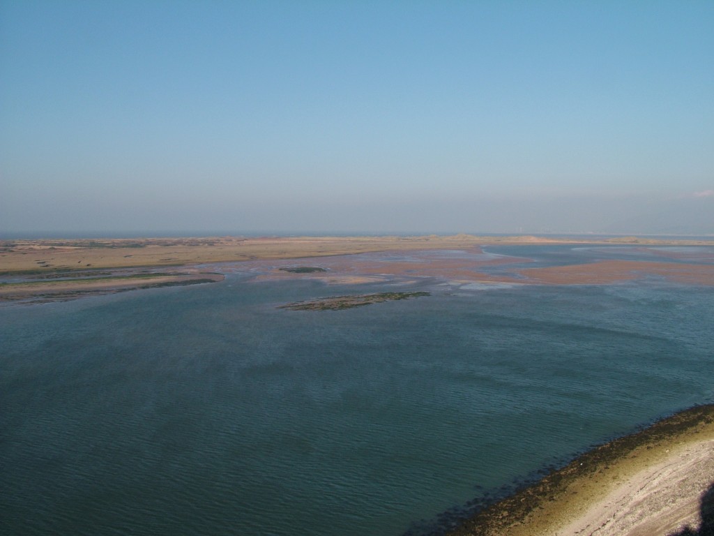 Click now to see this image full size.