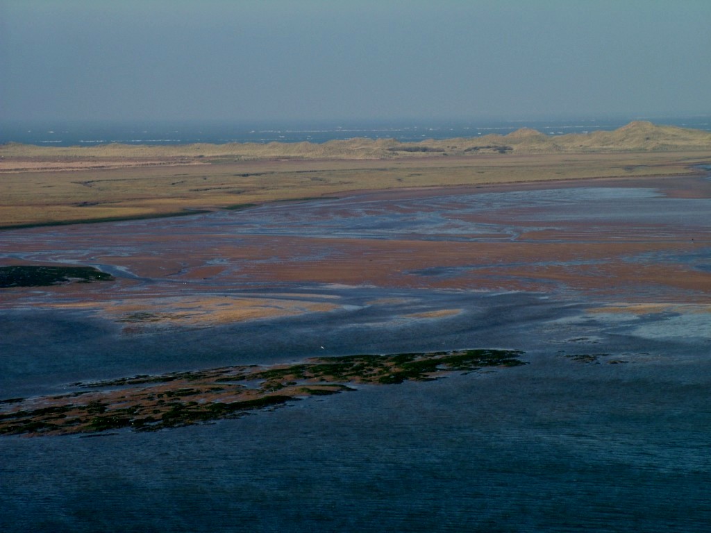 Click now to see this image full size.