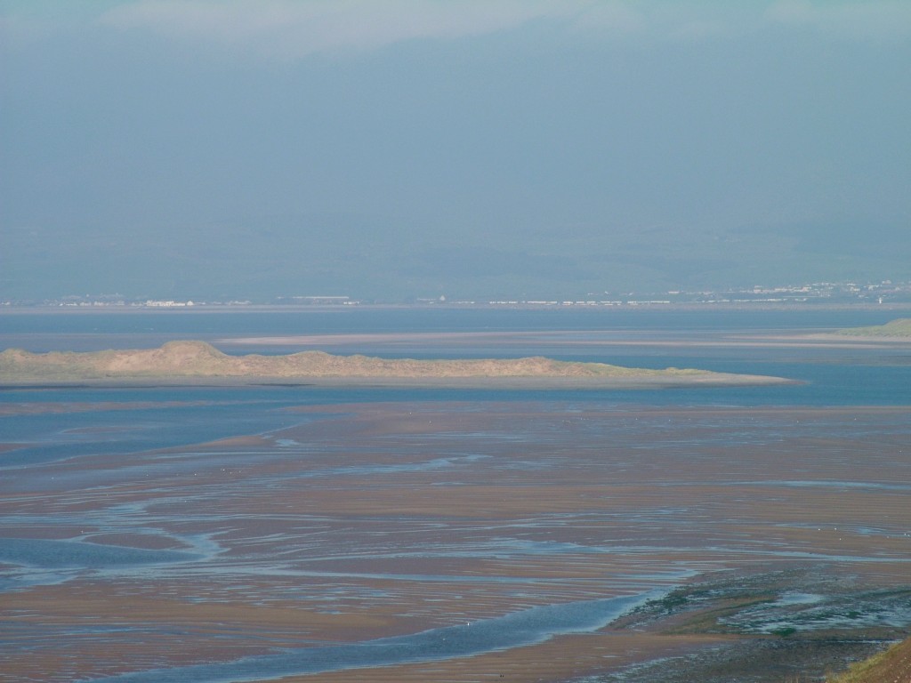 Click now to see this image full size.