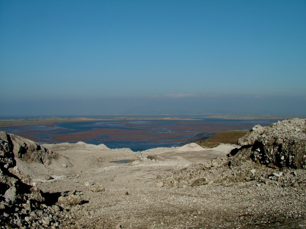 Click now to see this image full size.