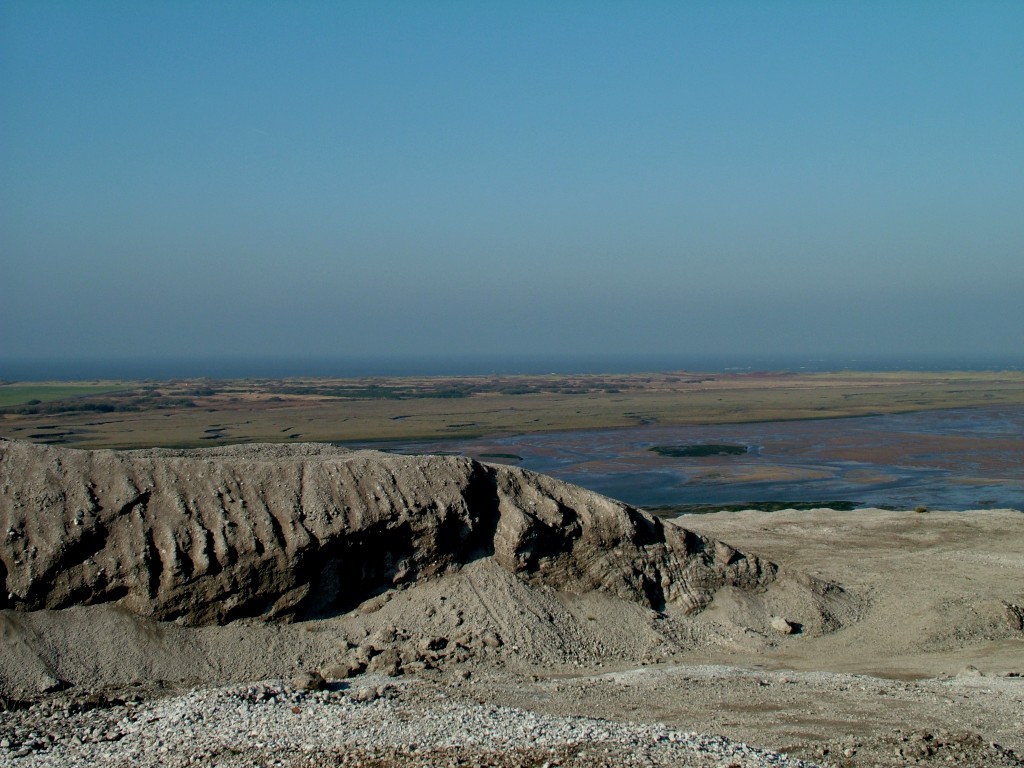 Click now to see this image full size.