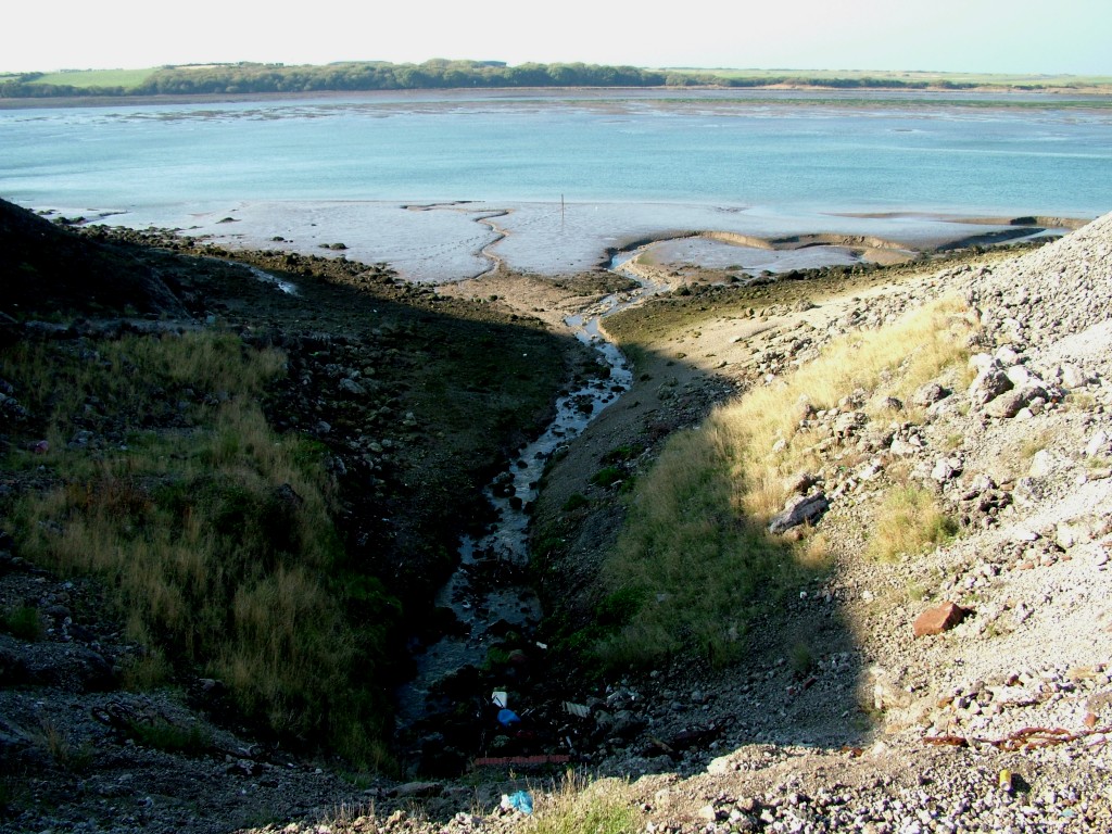 Click now to see this image full size.