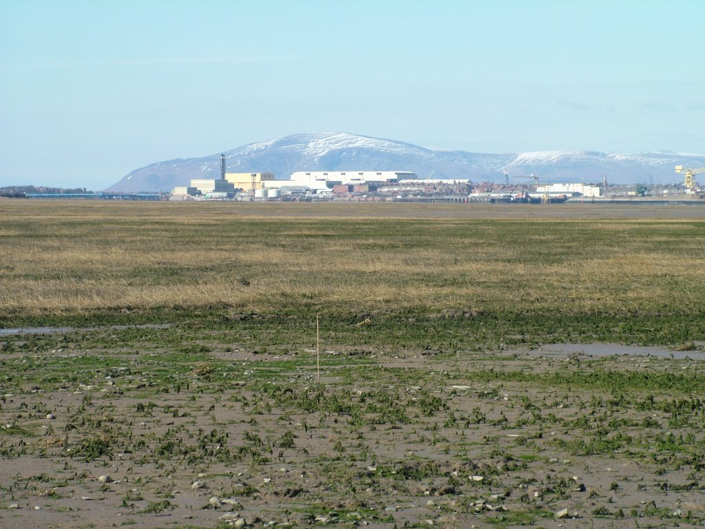 Click now to see this image full size.