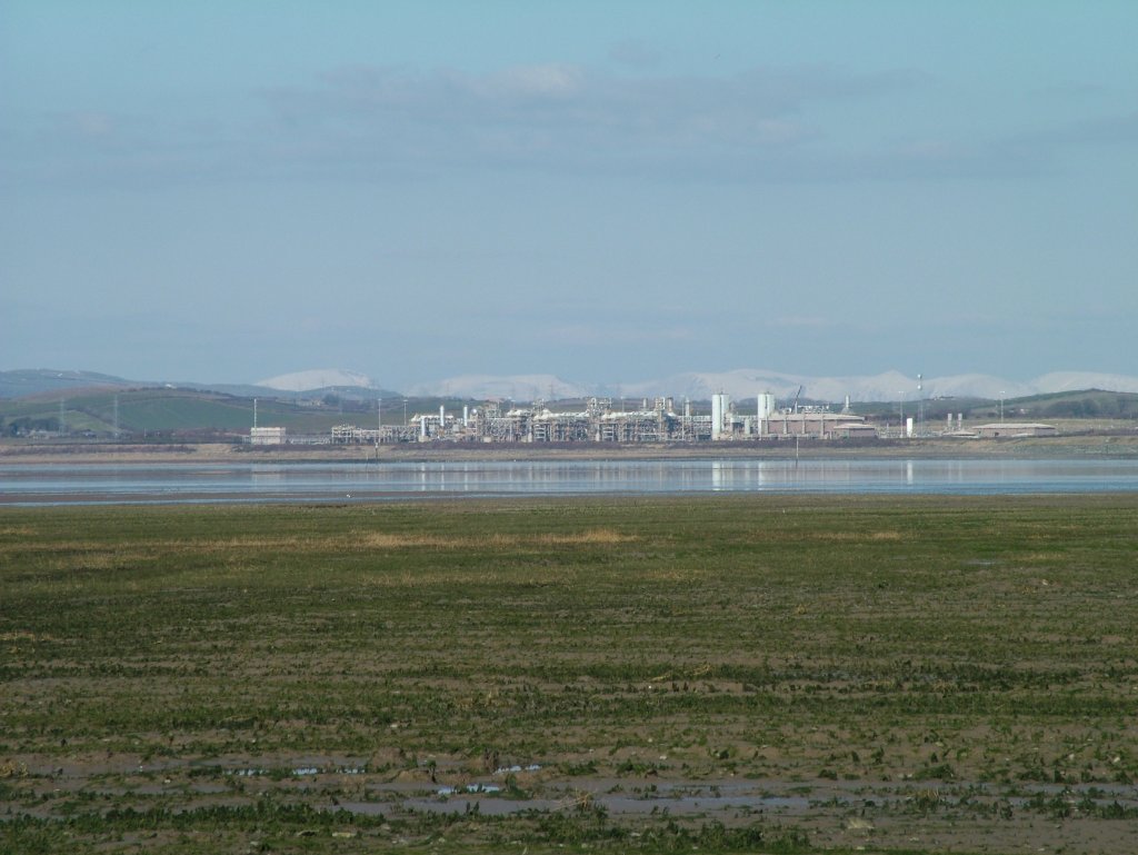 Click now to see this image full size.