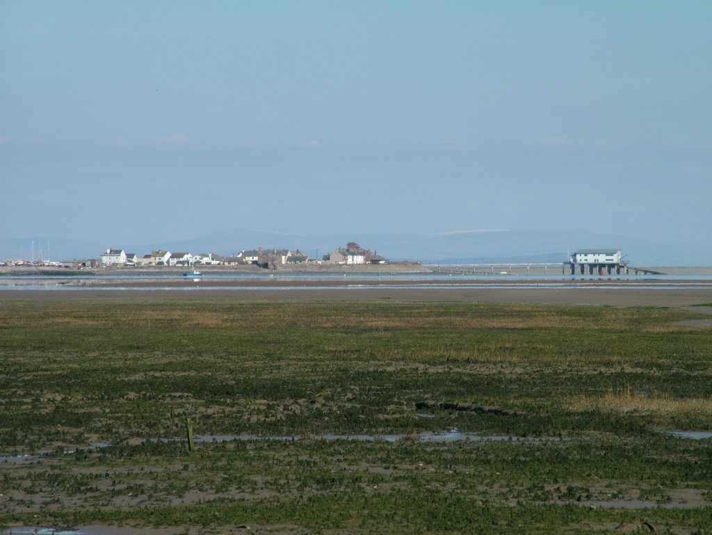 Click now to see this image full size.