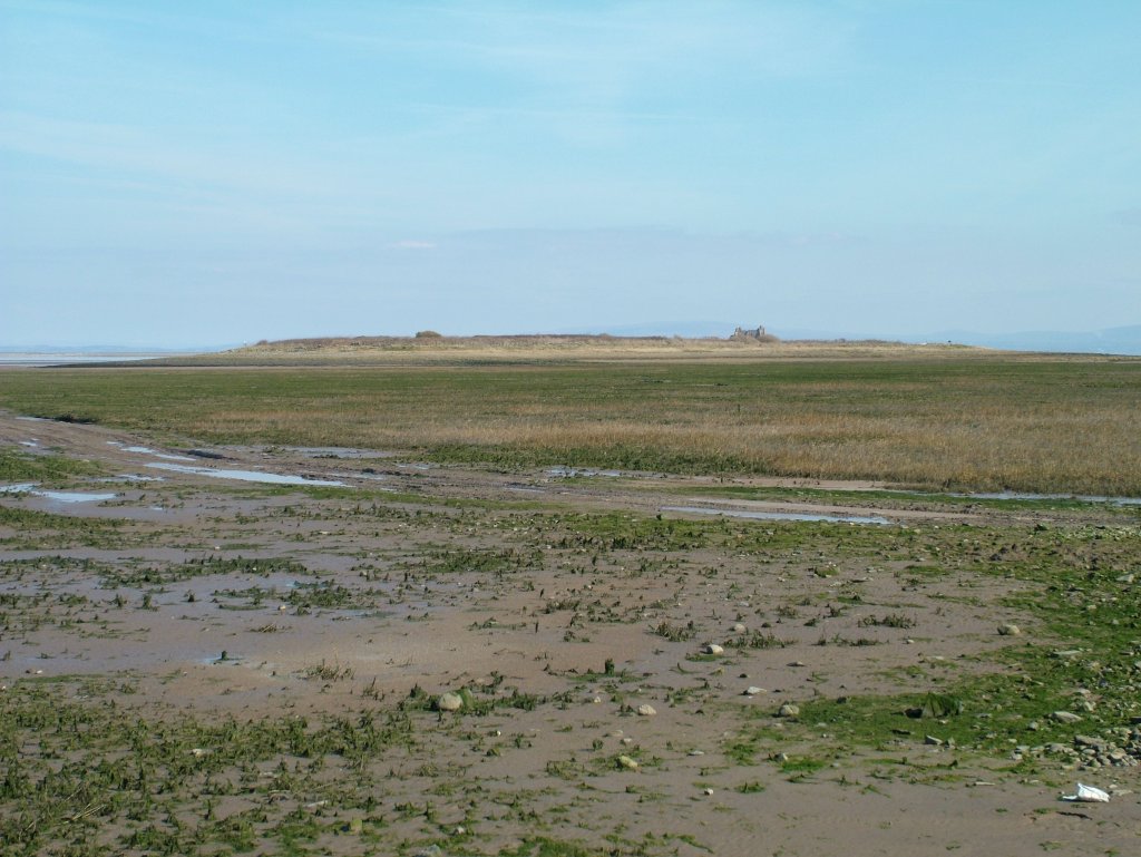 Click now to see this image full size.